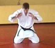 Click for a video showing how to do a Traditional Judo technique called Mae Ukemi - Front Breakfall.